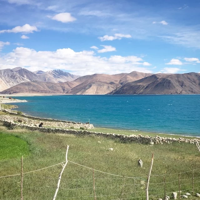 Photo of Dos And Don'ts For Y