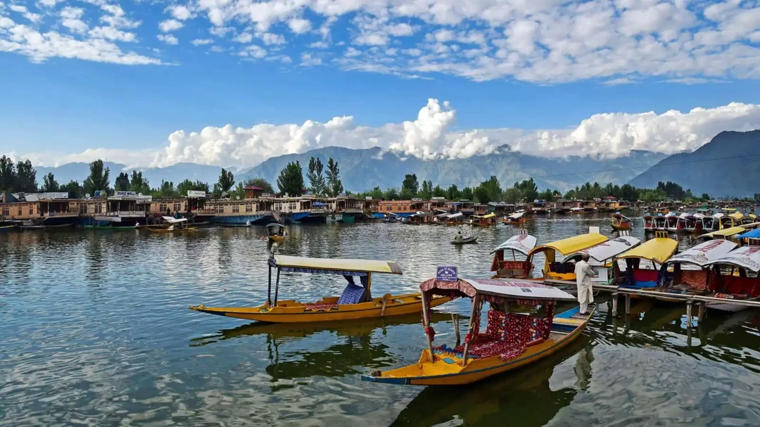 Photo of Mehr-e-Kashmir: 6D 5