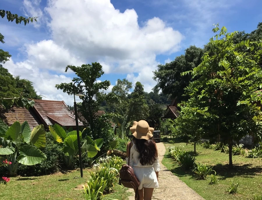 Photo of This tropical milieu