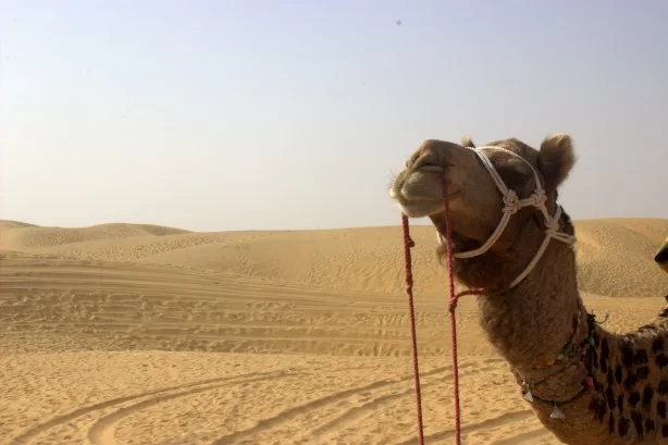 Photo of Travelogue: Sands of