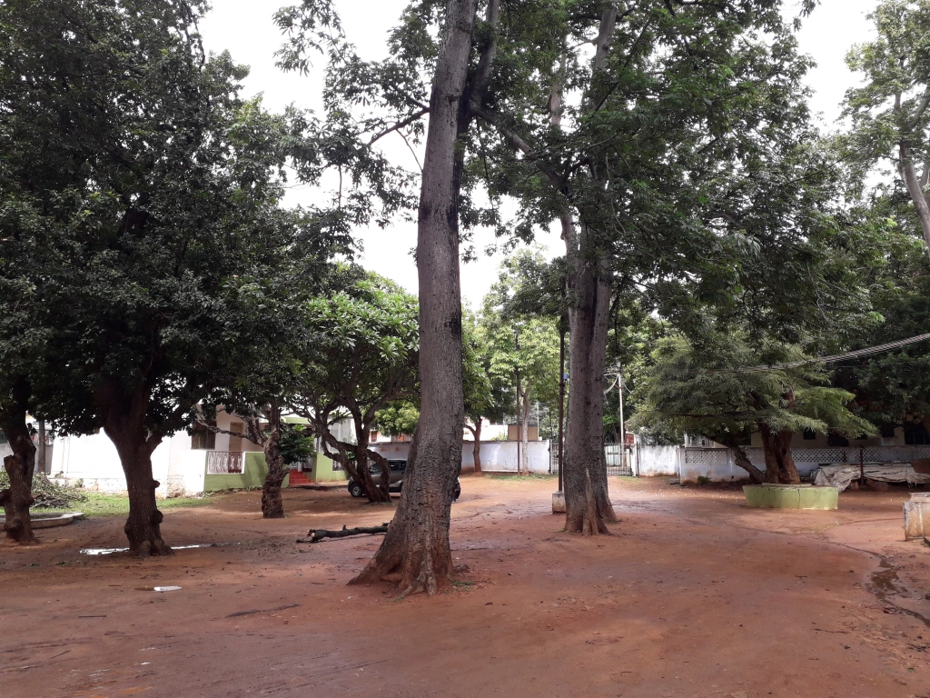 Photo of Travelogue - Count o