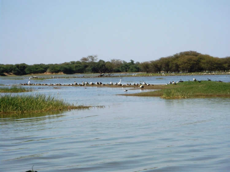Photo of Thol Lake -A perfect