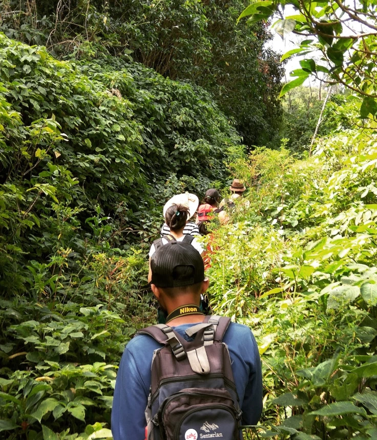 Photo of The trouble is you t