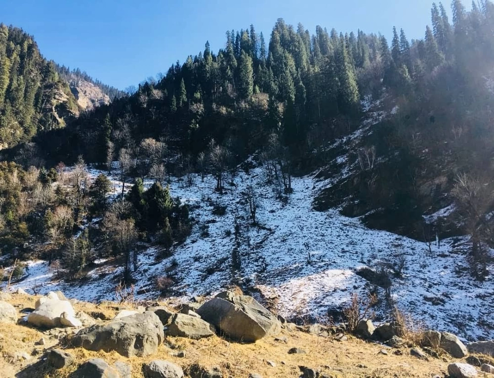 Photo of Winter trekking in M