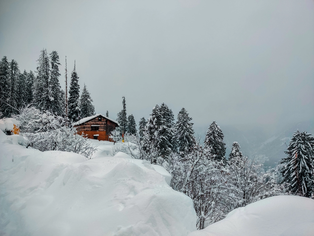 Photo of Skip Manali for this