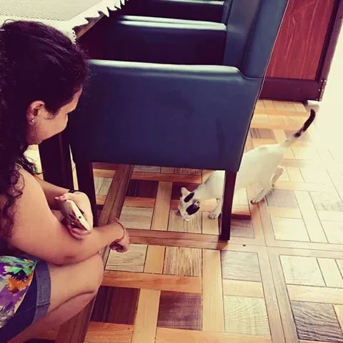 Photo of Ankita Saxena