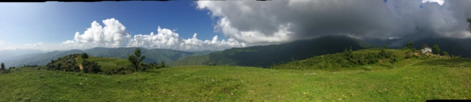 Photo of NAG TIBBA: CATTLE, F