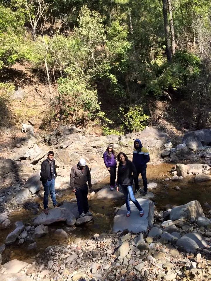 Photo of An Adventorous Hidde