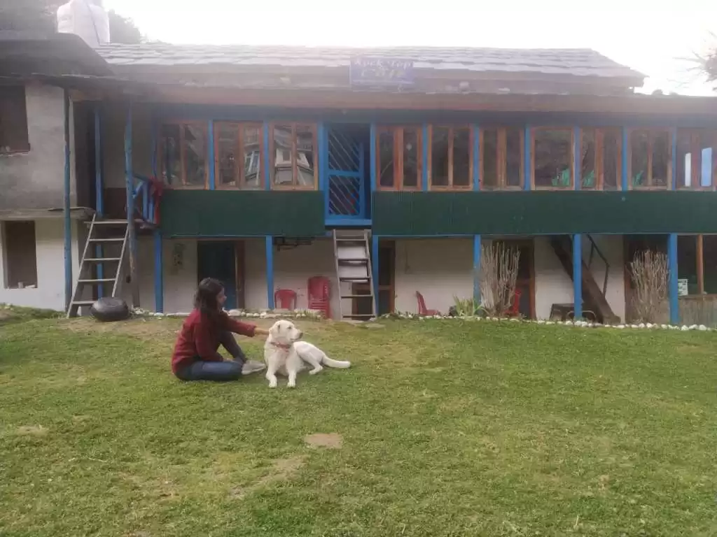 Photo of Jibhi - The quaint l