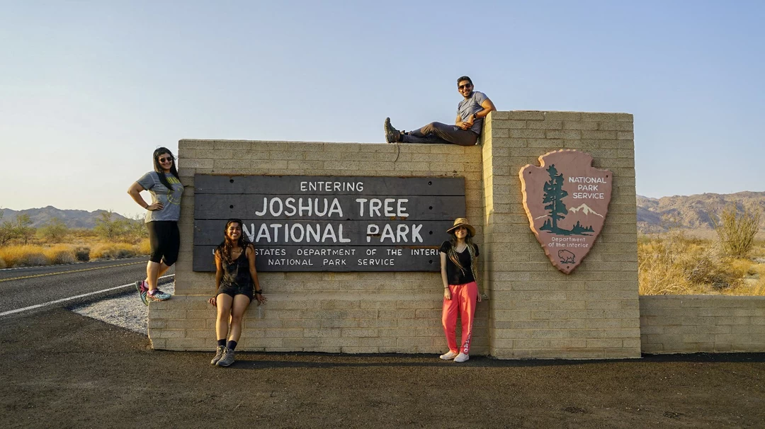 Photo of A Night Under the St