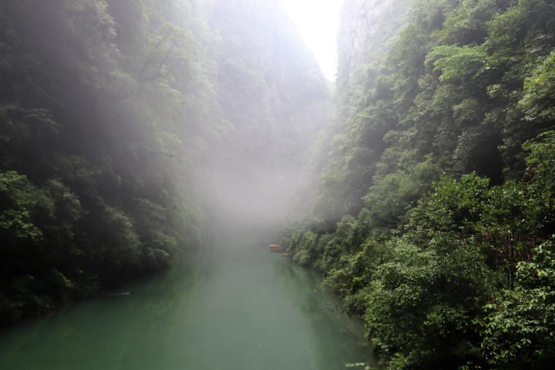 Photo of Soaking in the natur