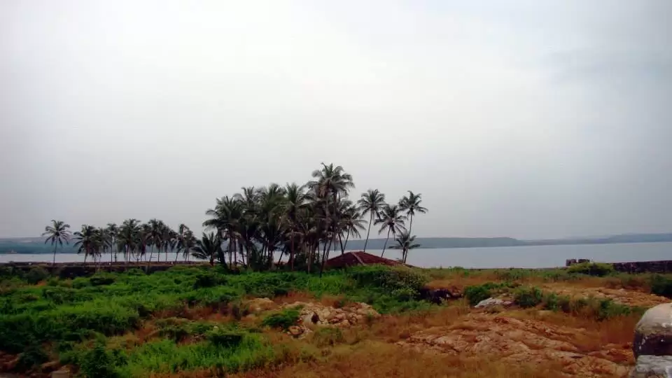 Photo of Tarkarli: Mother nat