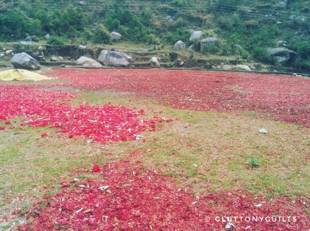 Photo of Travelogue - Dharams