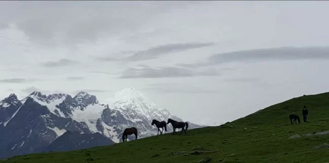 Photo of Bhrigu Lake Trek-#Ta