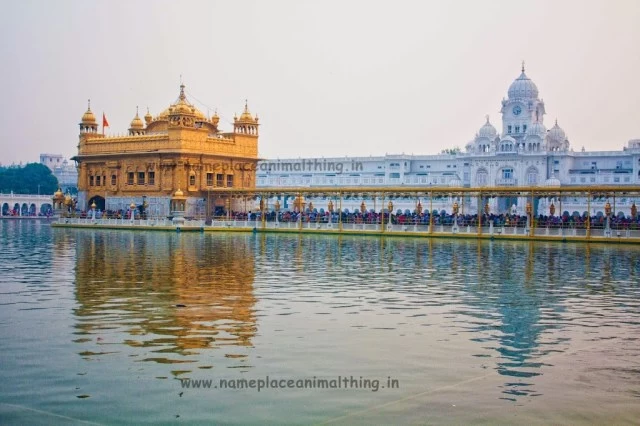 Photo of Eat, Pray, Love! A w