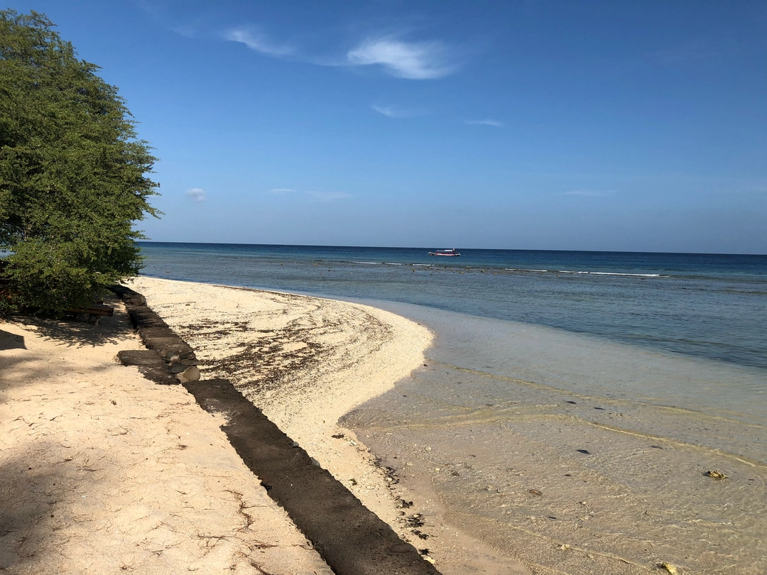 Photo of Explore Bali with Gi