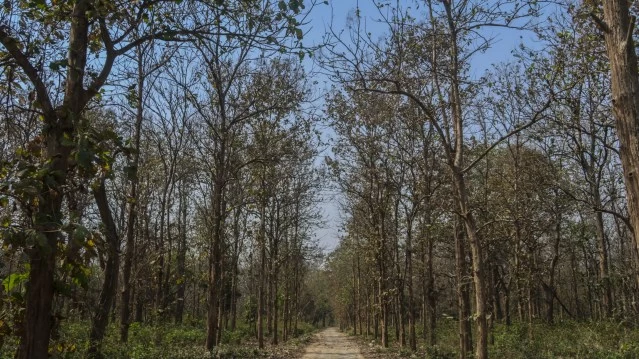 Photo of Planning a trip to J