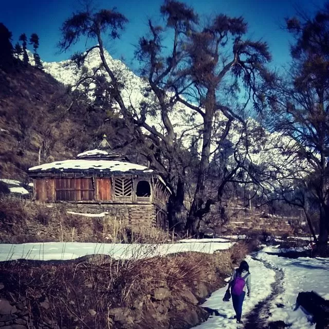 Photo of Through the wilderne