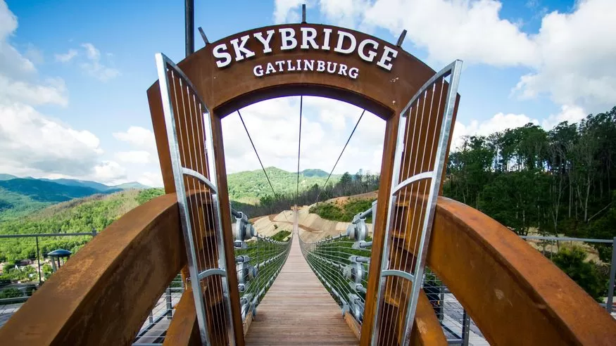 Photo of The Longest Suspensi