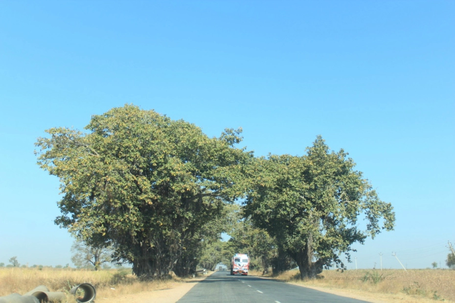 Photo of Marathwada Road Trip