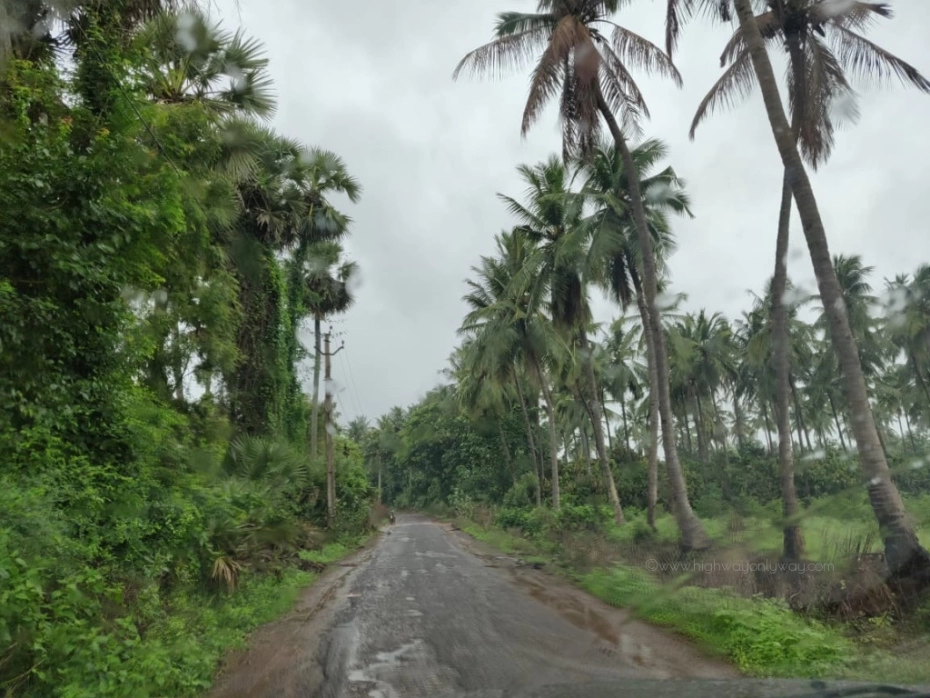 Photo of Monsoon Drive - III 