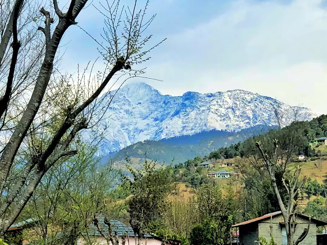 Photo of Bir , Billing - A de