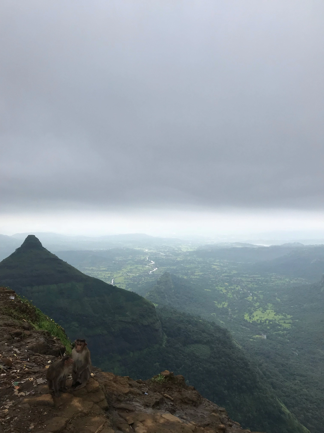 Photo of Why You Must Go to L