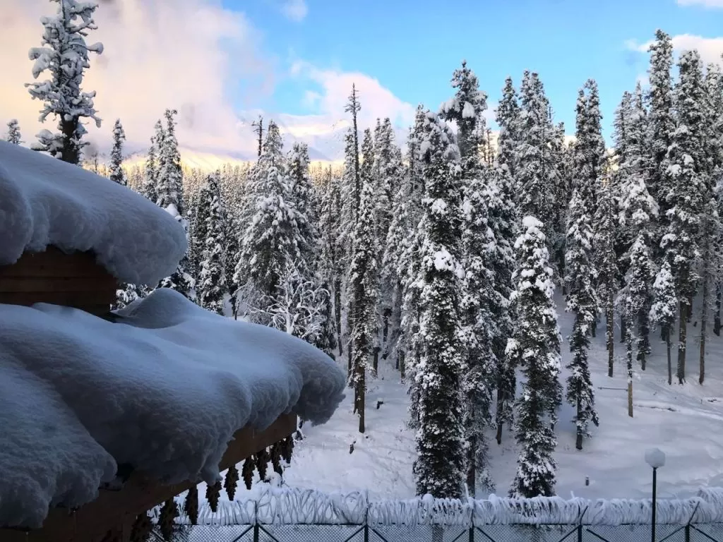 Photo of Snow-Covered Gulmarg