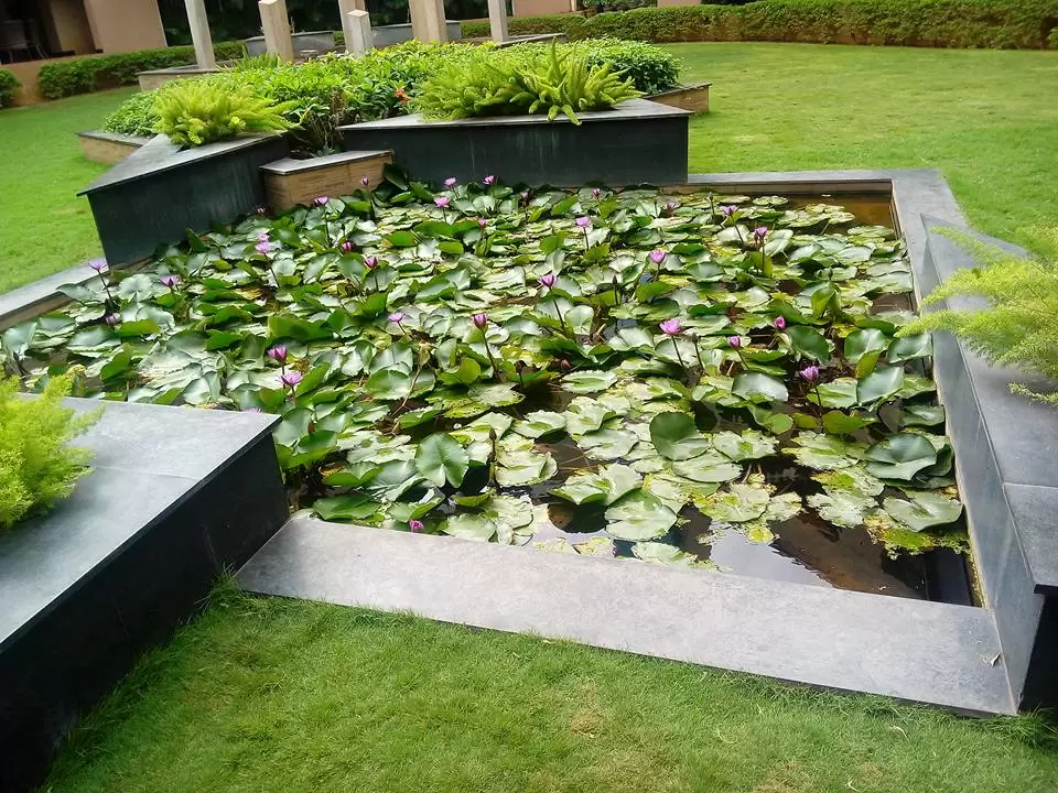 Photo of Revel in the Heritag