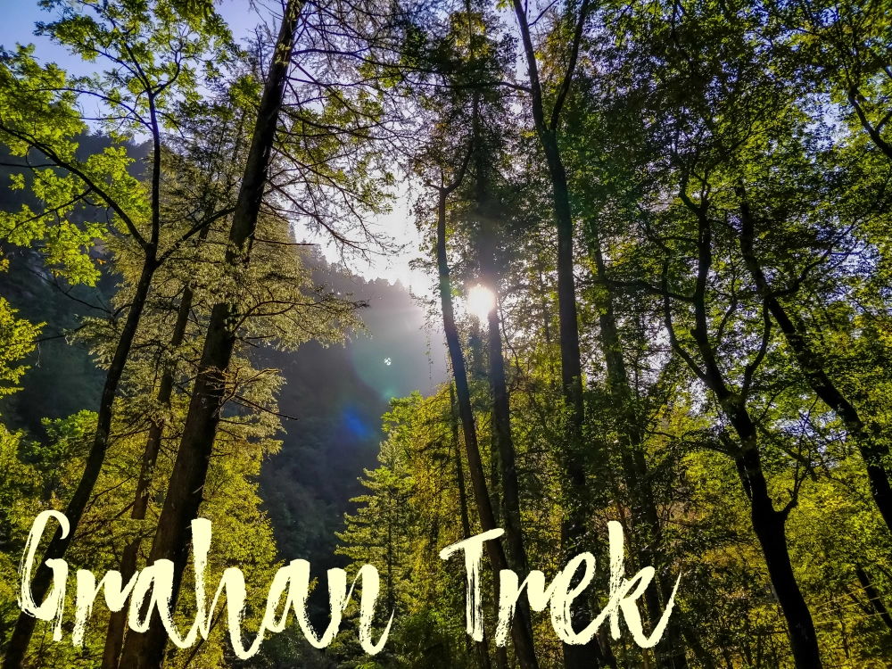 Photo of Trek to the Magic Ho