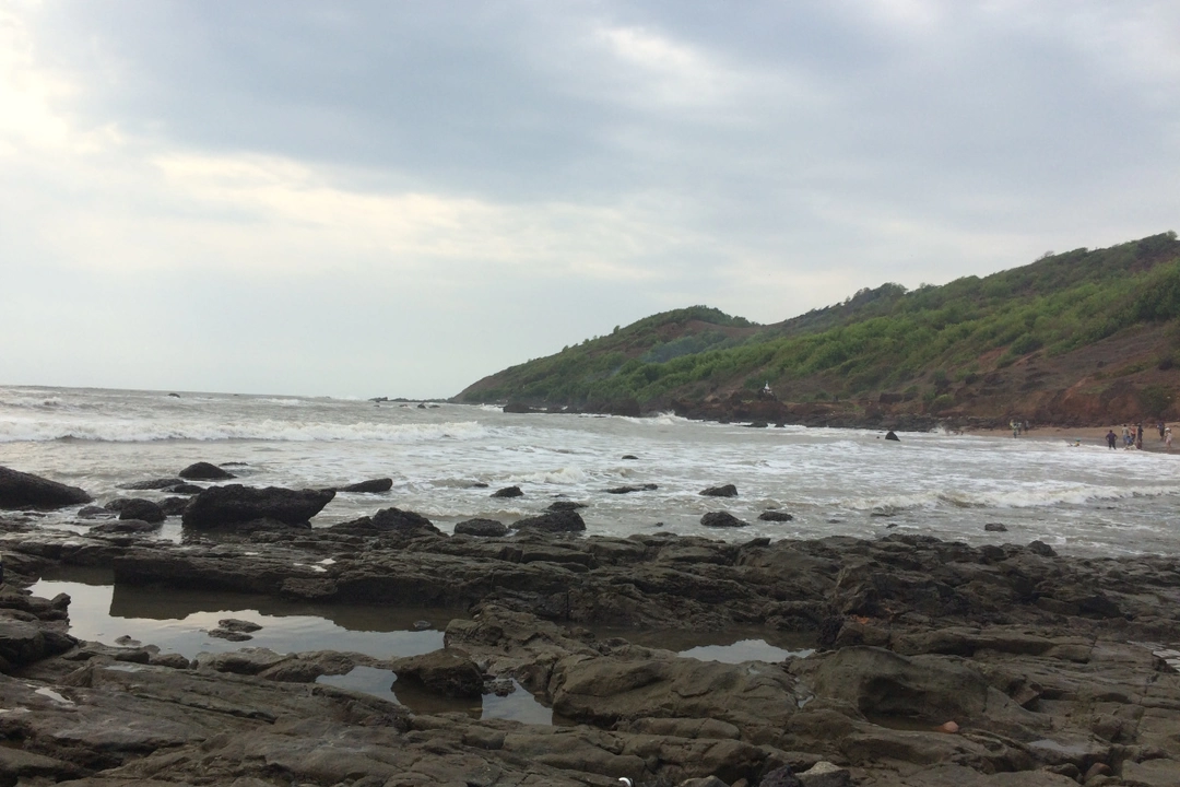 Photo of Go GOA goneeee....