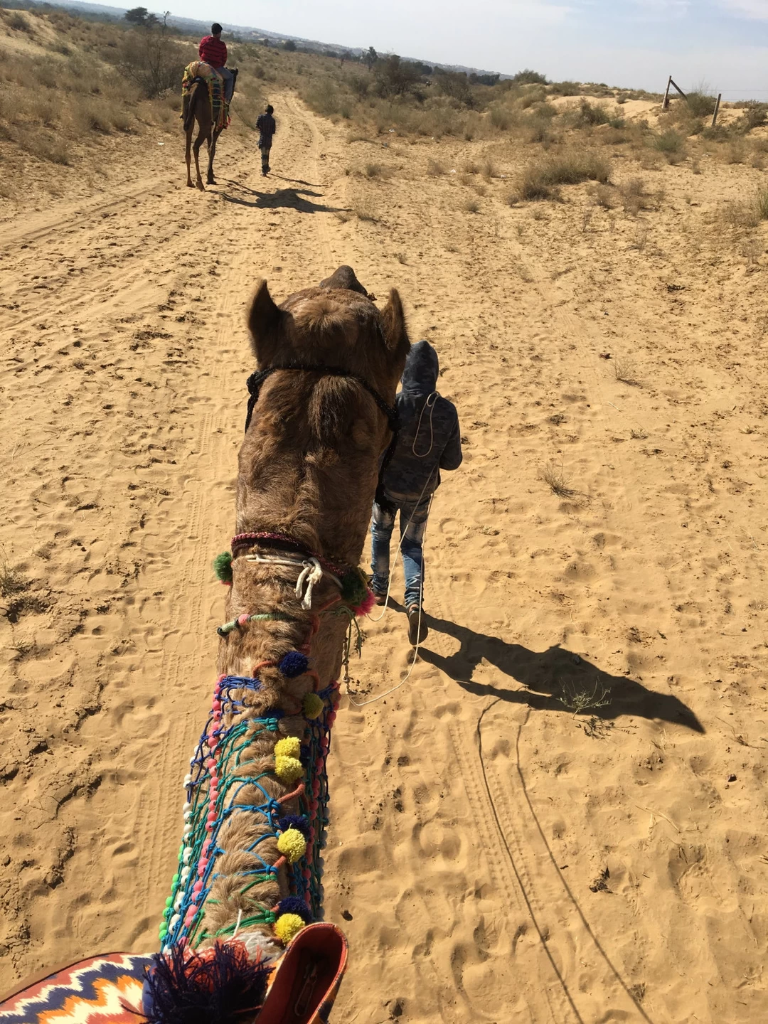 Photo of The hidden gem of Ra