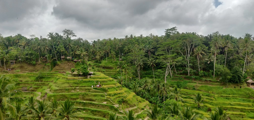 Photo of Bali: A journey you 