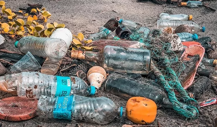 Photo of Loving Clear Skies a