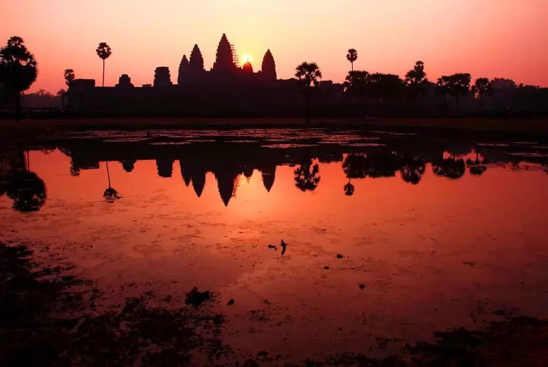 Photo of Top 5 Scams to Avoid