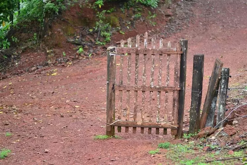 Photo of Kodachadri Trek..Hid