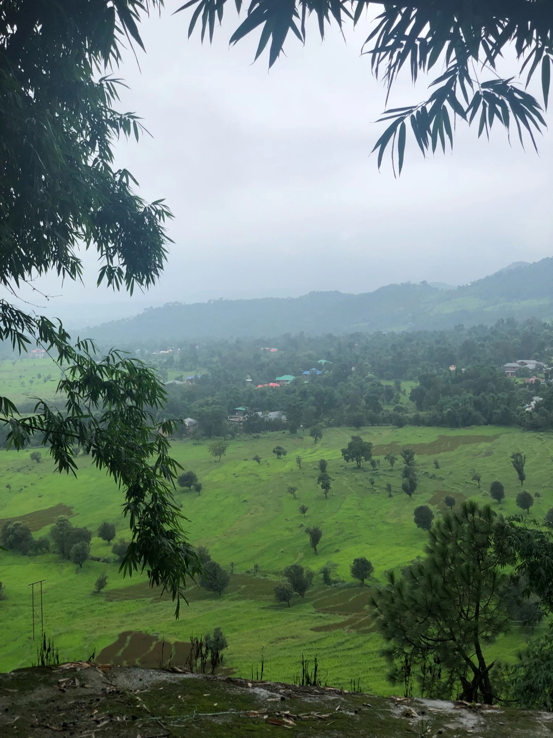 Photo of Bored Of McLeodganj?