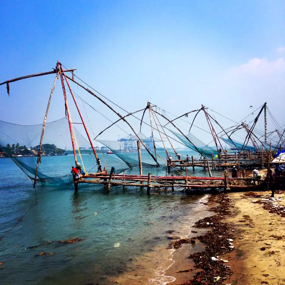 Photo of My incredible 6month