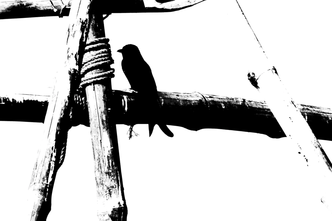 Photo of "Chupir Char" - an o