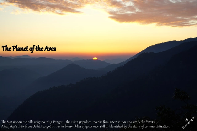 Photo of Pangot : where the b