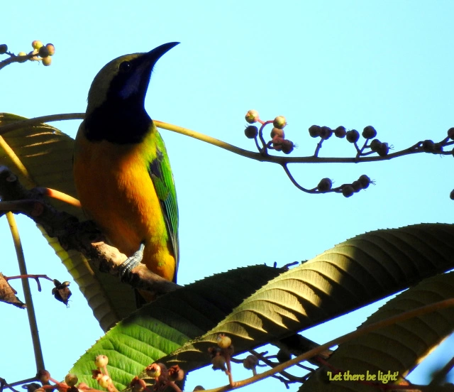 Photo of My first visit to th