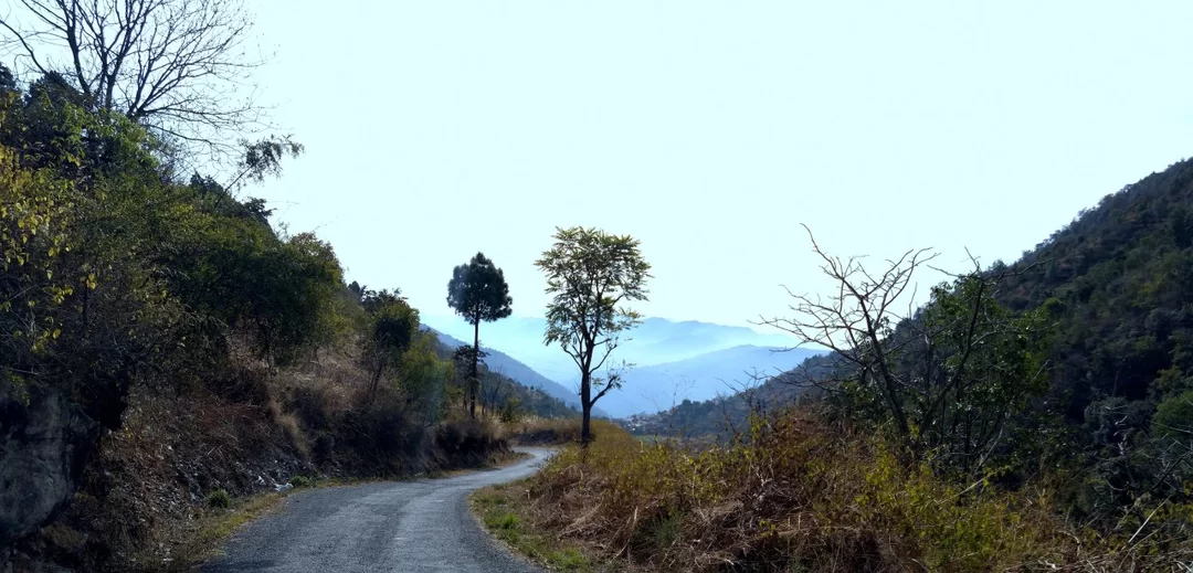 Photo of For a true Himalayan