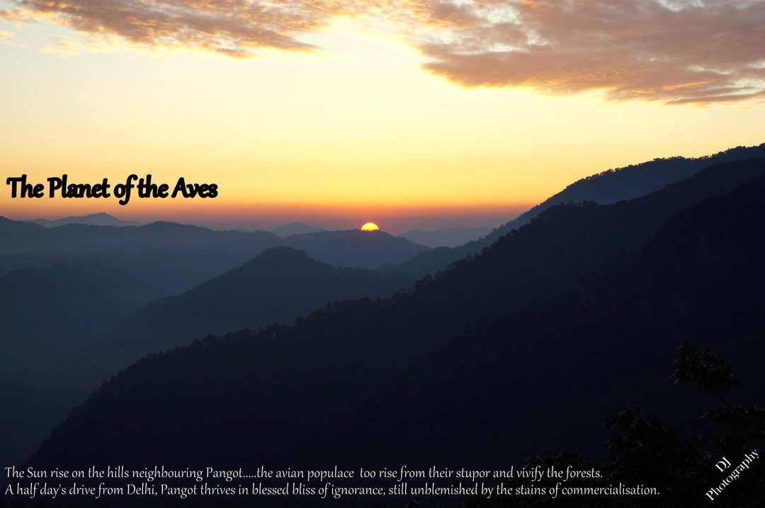 Photo of Rough Thoughts on a 