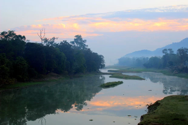 Photo of Kaziranga National P