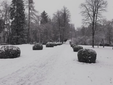 Photo of Snowy Mornings at Sc