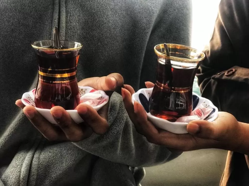 Photo of A Foodies Handbook: 