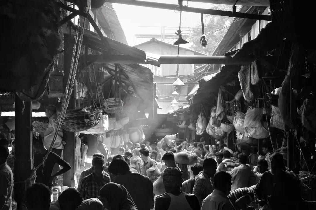 Photo of Travel Through Time 