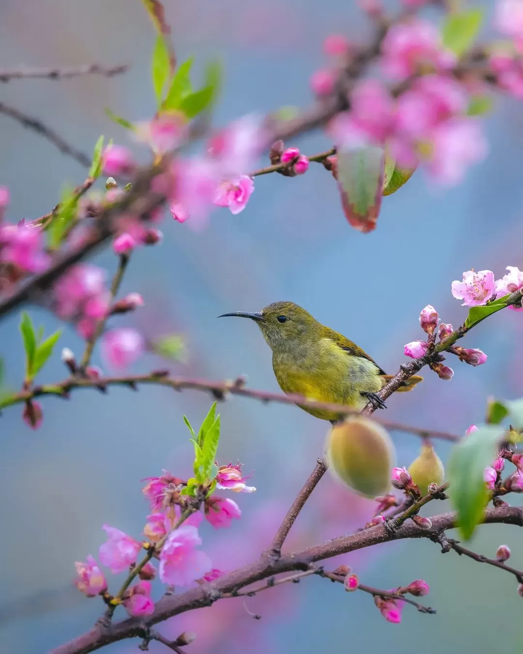 Photo of We Found An Offbeat 