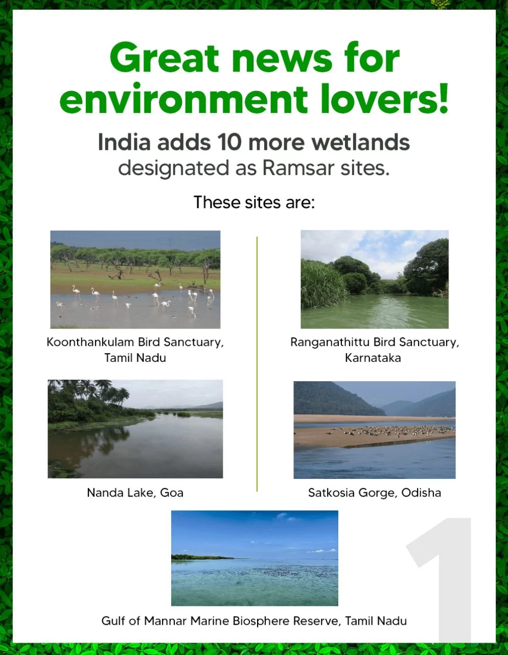 Photo of देश के 10 और वेटलैंड