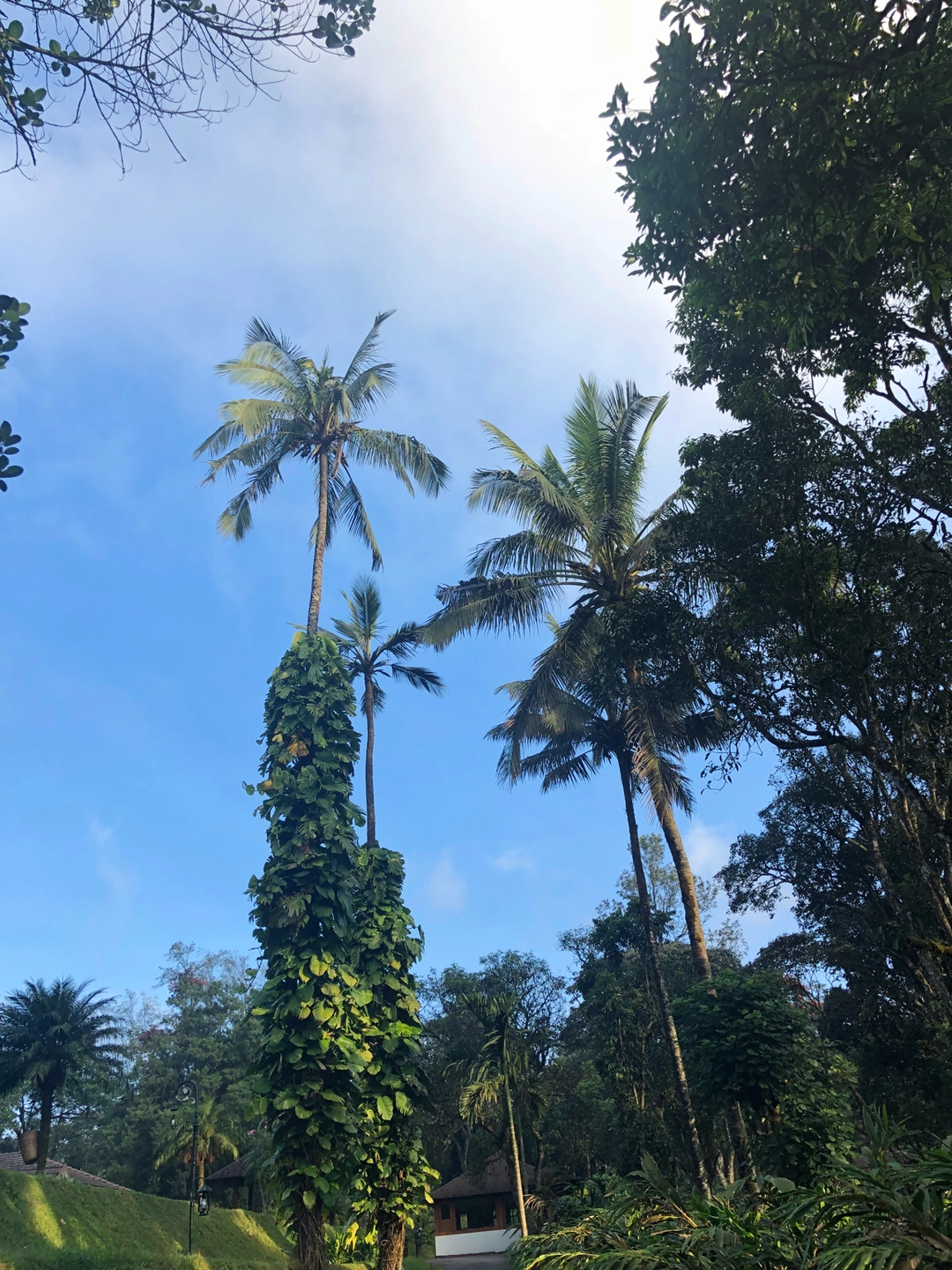 Photo of Scenic Kerala